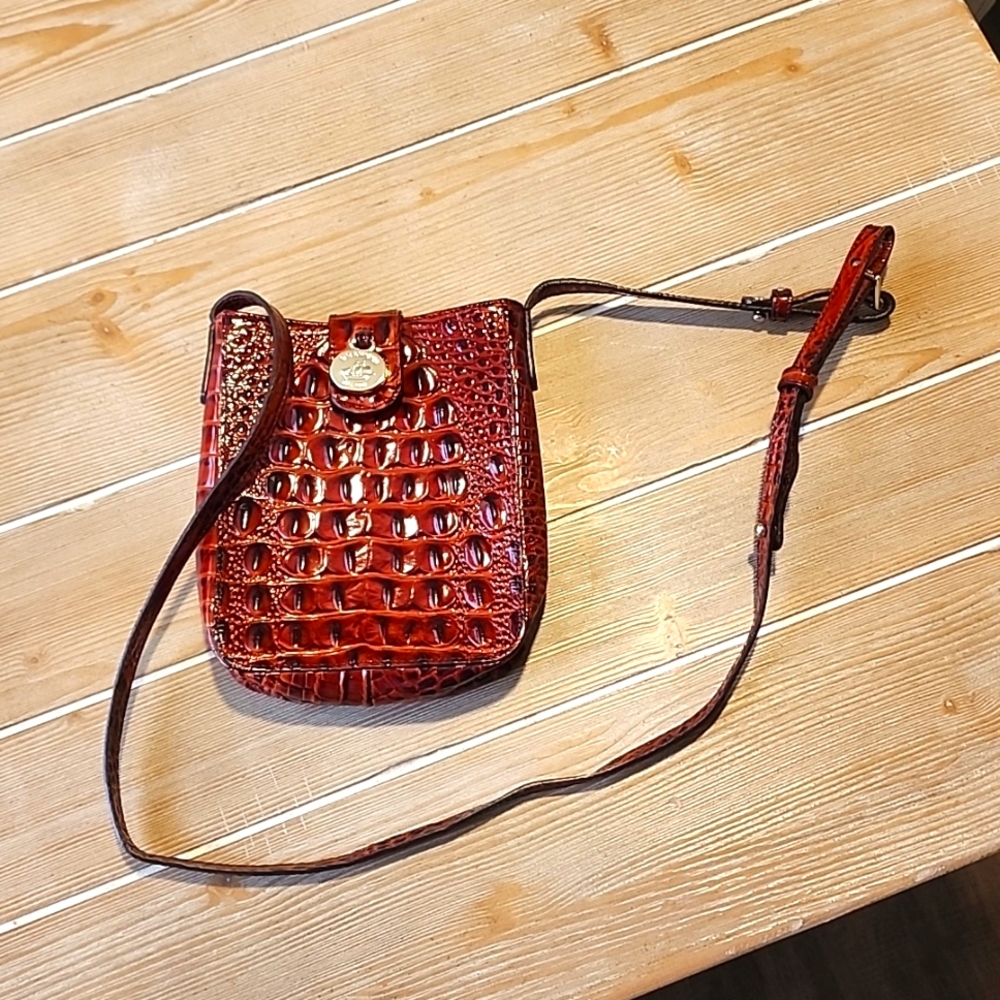 Brahmin Brown Purse